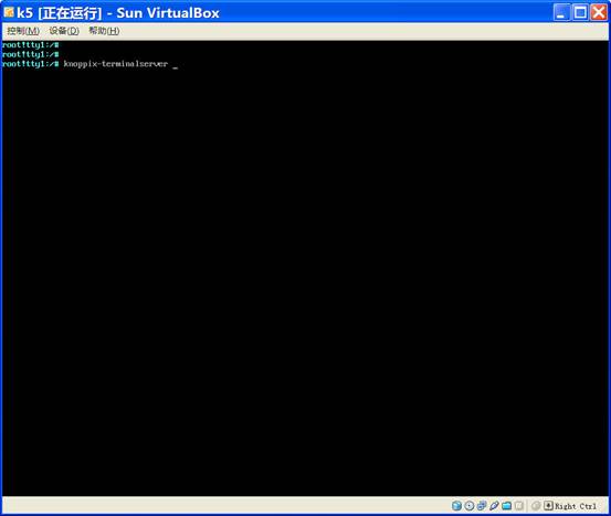 04-knoppix-terminalserver.jpg